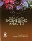 Principles of Engineering Analysis - Book