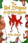 The Red Dragons of Gressingham - Book