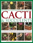 Practical Illustrated Guide to Growing Cacti & Succulents - Book