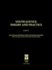 Youth Justice: Theory & Practice - eBook