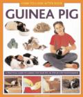 How to Look After Your Guinea Pig - Book