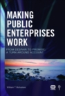 Making Public Enterprises Work - Book