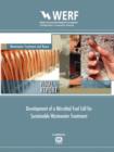 Development of a Microbial Fuel Cell for Sustainable Wastewater Treatment - Book