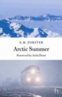 Arctic Summer - Book