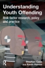 Understanding Youth Offending : Risk Factor Reserach, Policy and Practice - Book