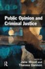 Public Opinion and Criminal Justice : Context, Practice and Values - Book