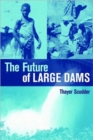 The Future of Large Dams : Dealing with Social, Environmental, Institutional and Political Costs - Book