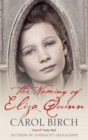 The Naming Of Eliza Quinn - Book