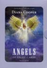 Angels of Light Cards - Book