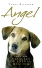 Angel : And Other Miracle of Holistic Animal Healing - Book