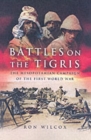 Battles on the Tigris: The Mesopotamian Campaign of the First World War - Book