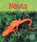 Read and Learn: Ooey-Gooey Animals - Newts - Book