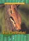 Boa Constrictors - Book