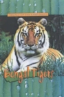 Bengal Tigers - Book