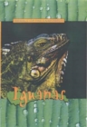 Iguanas - Book