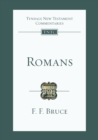 Romans : An Introduction And Survey - Book