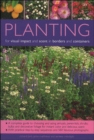 Planting for Visual Impact and Scent in Borders and Containers : A Complete Guide to Choosing and Using Annuals, Perennials, Shrubs, Bulbs and Decorative Foliage, with Practical Step-by-Step Sequences - Book