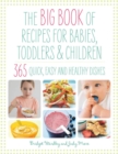 Big Book of Recipes for Babies, Toddlers & Children : 365 Quick, Easy and Healthy Dishes - Book