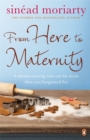 From Here to Maternity : Emma and James, Novel 3 - Book