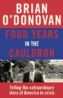 Four Years in the Cauldron : The Gripping Story of an Irishman Making Sense of America - Book