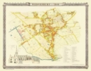 Old Map of Wednesbury 1846 : Colour Town Plan of Wednesbury in the Black Country - Book