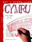 Sut i Dynnu Llun Cymru - Book