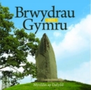 Cyfres Celc Cymru: Brwydrau dros Gymru - Book