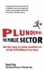 Plundering the Public Sector : How New Labour are Letting Consultants run off with £70 billion of our Money - Book