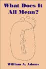What Does It All Mean? : A Humanistic Account of Human Experience - eBook