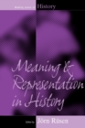 Meaning and Representation in History - Book