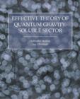 Effective Theory of Quantum Gravity : Soluble Sector - Book