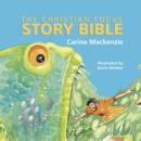 Christian Focus Story Bible - Book