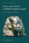 Poetry and Culture in Middle Kingdom Egypt : A Dark Side to Perfection - Book