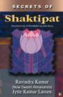 Secrets of Shaktipat : Awakening of Kundalini by the Guru - Book