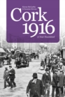 Cork 1916 : A Year Examined - Book