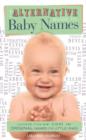 The Alternative Guide To Baby Names - eBook