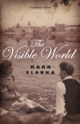The Visible World - eBook