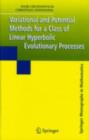 Variational and Potential Methods for a Class of Linear Hyperbolic Evolutionary Processes - eBook