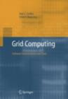 Grid Computing: Software Environments and Tools - eBook