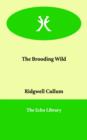 The Brooding Wild - Book