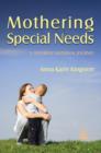 Mothering Special Needs : A Different Maternal Journey - eBook