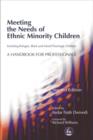 Meeting the Needs of Ethnic Minority Children - Including Refugee, Black and Mixed Parentage Children : A Handbook for Professionals Second Edition - eBook