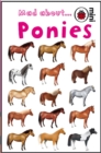 Mad About Ponies - Book