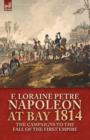 Napoleon at Bay, 1814 : the Campaigns to the Fall of the First Empire - Book