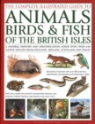 The Animals, Birds & Fish of British Isles, Complete Illustrated Guide to : A natural history and identification guide with over 440 native species from England, Ireland, Scotland and Wales, beautiful - Book