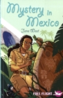Mystery in Mexico - Book