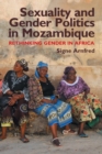 Sexuality and Gender Politics in Mozambique : Re-thinking Gender in Africa - Book
