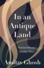 In An Antique Land - Book