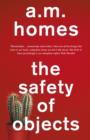 The Safety Of Objects - Book
