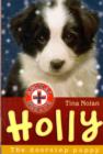 Holly : The Doorstep Puppy - Book